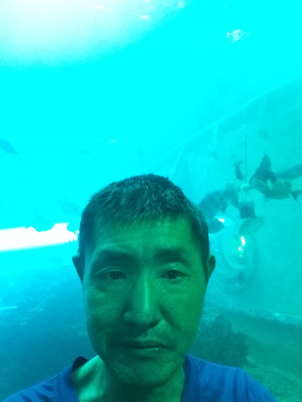 陸戰隊的第一张照片--汕尾相亲服务中心