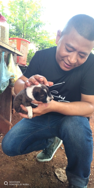 深圳相亲的第一张照片--汕尾相亲服务中心