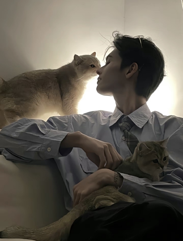 怪猫的第一张照片--汕尾相亲服务中心