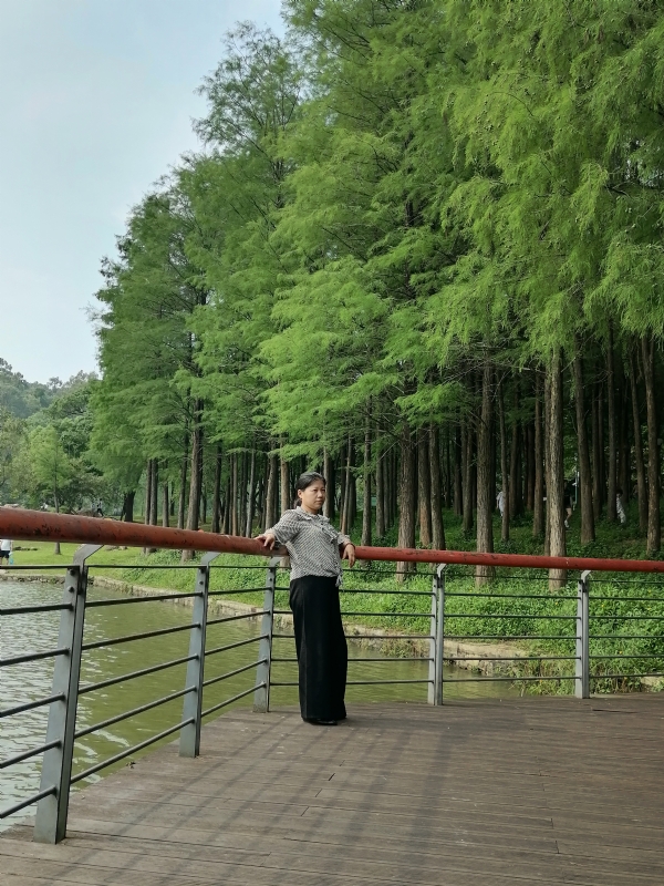 遗失的记忆的第二张照片--汕尾相亲服务中心