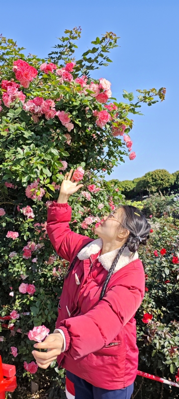 狗狗的第一张照片--汕尾相亲服务中心